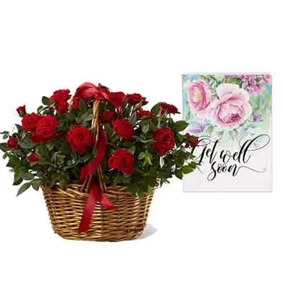 Red Rose Basket With Card