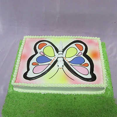 Butterfly Photo Cake