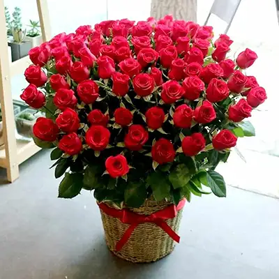 250 Red Roses Basket