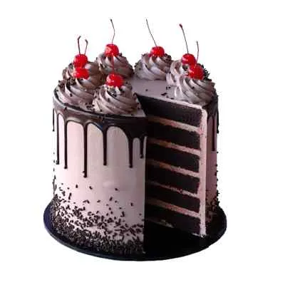 2 kg chocolate cake|fresh two layer cake online- jaipurgiftshop