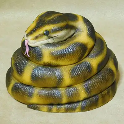 Snake Birthday Cake