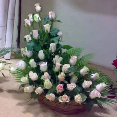 Roses Gift for Someone Special