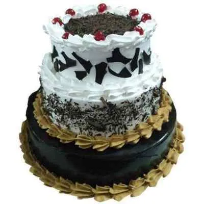 Vanilla Chocolate Triple Layer Cake