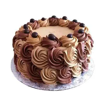 Luscious Chocolate Rose Cake