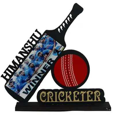 Cricketer's Frame 