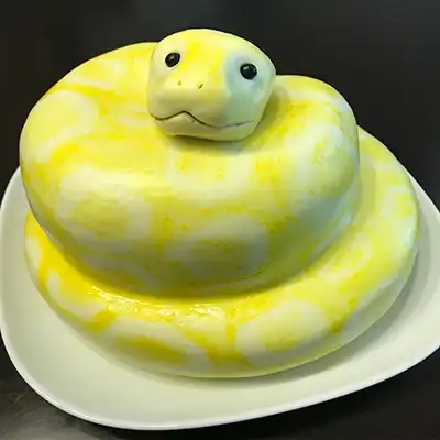 Snake Design Cake