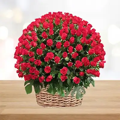 Red Roses Basket 500 Flowers