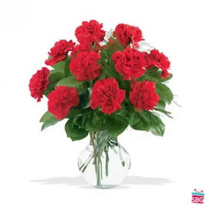Red Carnations Vase