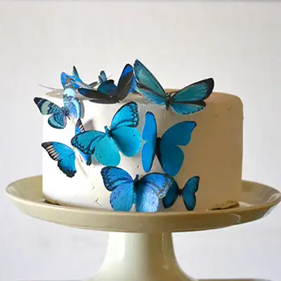 Butterfly Designer Cake