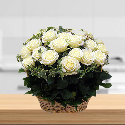 White Roses Basket