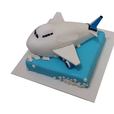 Aero Plane Shape Cake