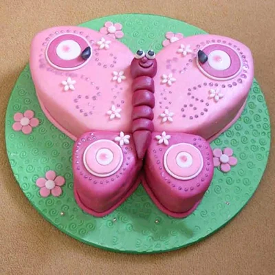Butterfly Special Cake