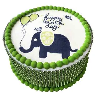 Butterscotch Elephant Photo Cake