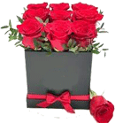 Valentine Day Roses