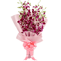 Orchid